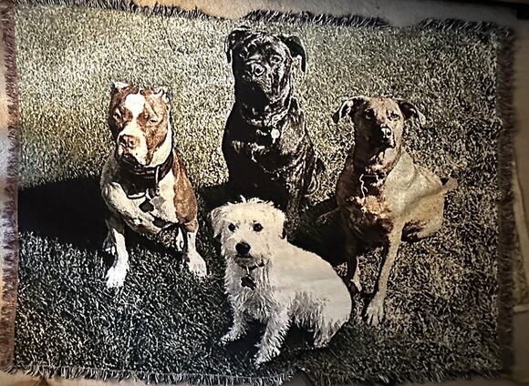 Unbranded Other - Tapestry Dog Throw Blanket Fringed Trim Woven Novelty 4 Dogs Couch 72x52